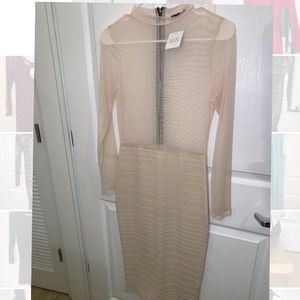 NWT Long sleeve sheer dress